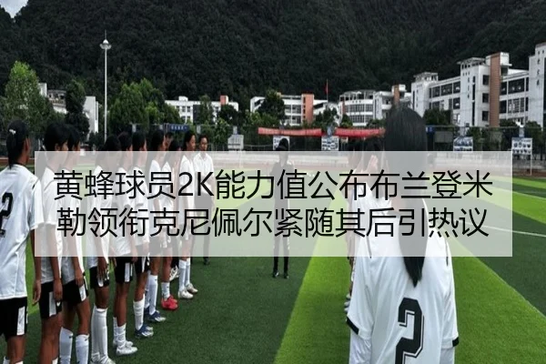 黄蜂球员2K能力值公布布兰登米勒领衔克尼佩尔紧随其后引热议